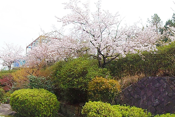 大庭園